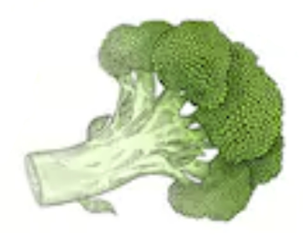 Cuisine nature - Broccoli