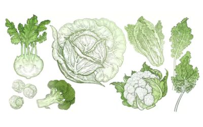 Cuisine nature : Chou-fleur rôti aux légumes verts vapeur